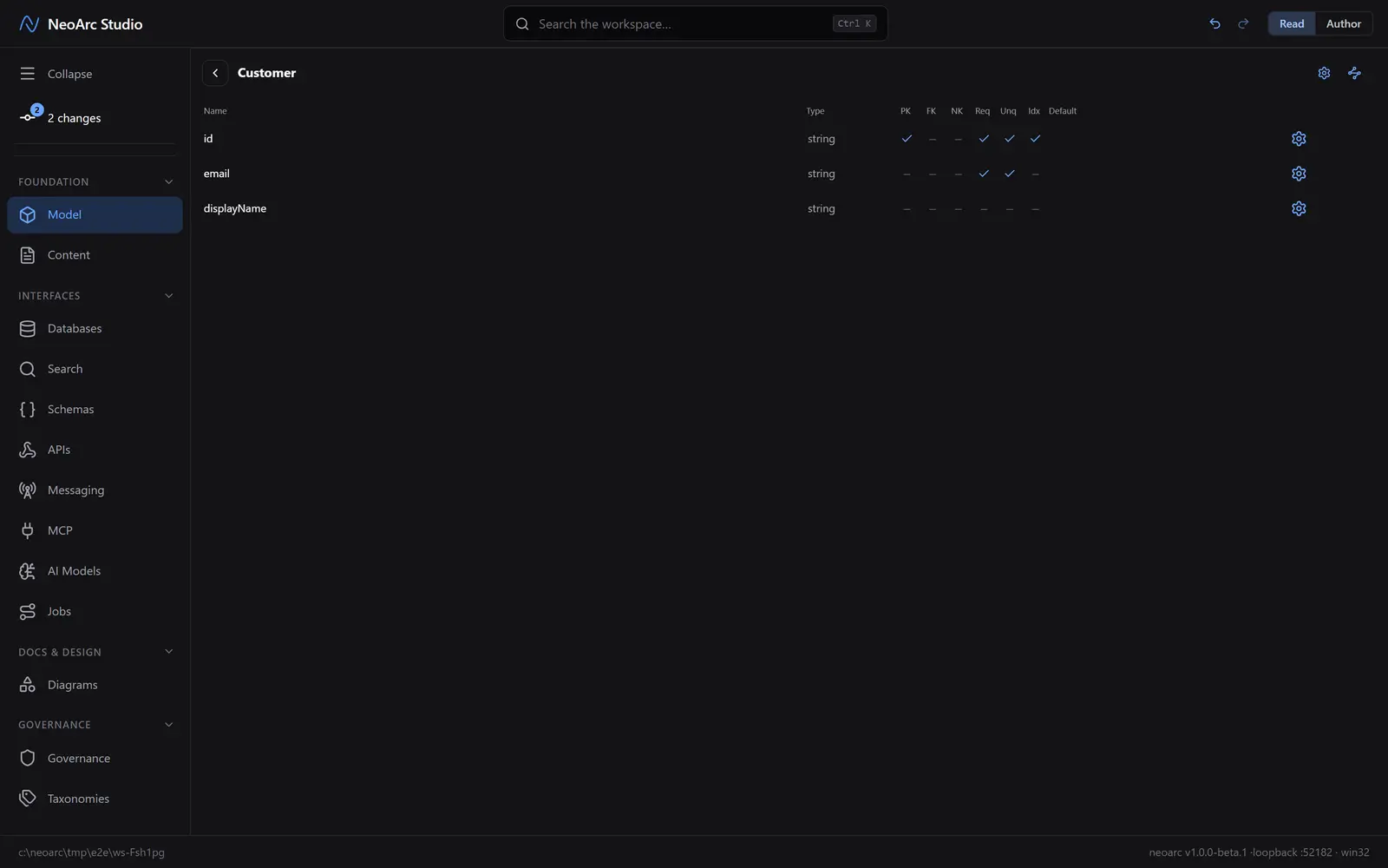 The Customer entity in Read view