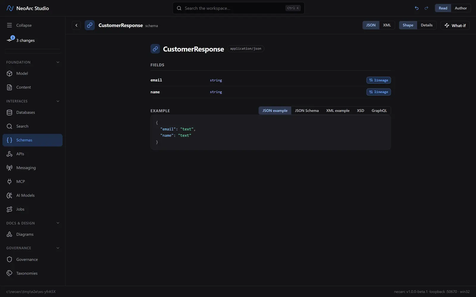The schema rendered as a JSON example, with format tabs